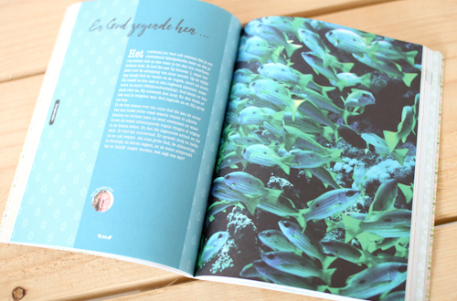 Groenophakken-6